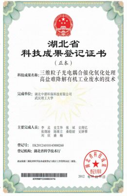 三维粒子光电耦合催化氧化处理高盐难降解有机工业废水的技术