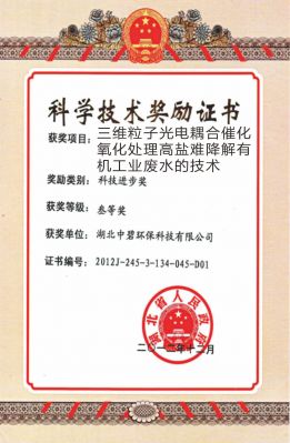 三维粒子光电耦合催化氧化处理高盐难降解有机工业废水的技术
