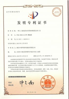 一种人工湿地原水的预处理装置及其工艺
